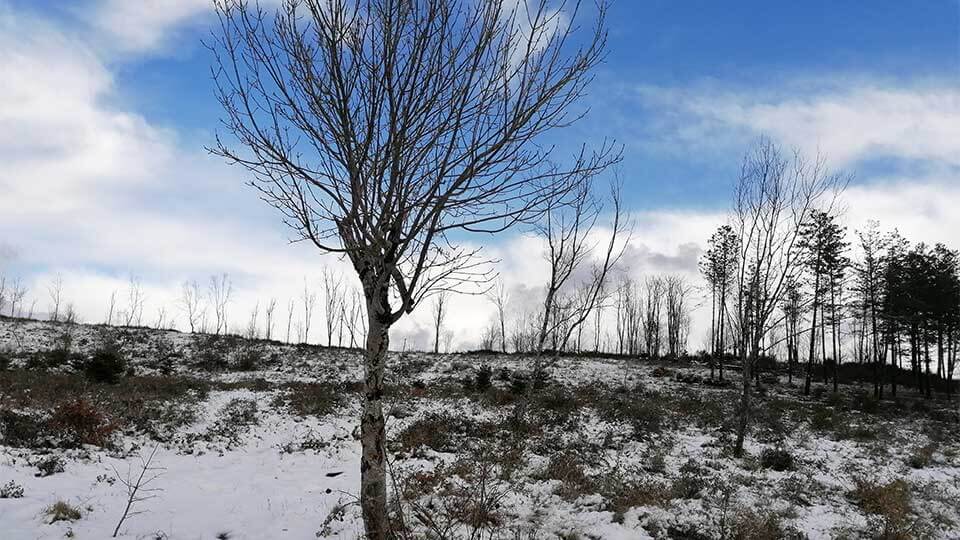 area-montevicchi-ecovprint
